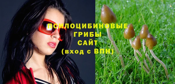 трава Алексин